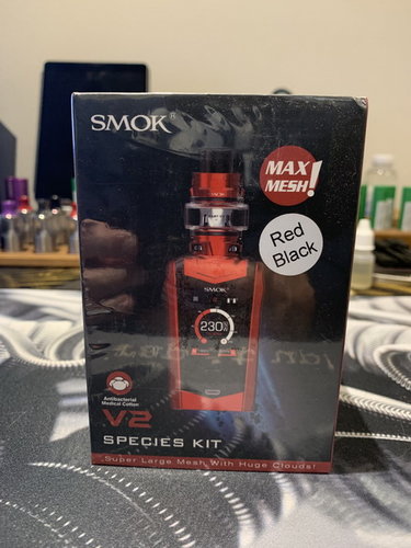 Smok 001.JPG