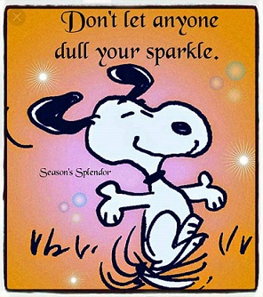 Don't let anyone dull your sparkle.jpg