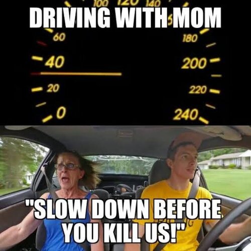 drive.jpg