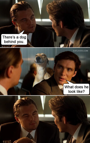 inception-dog.jpg