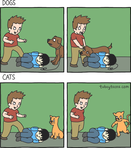 dogs-vs-cats.png