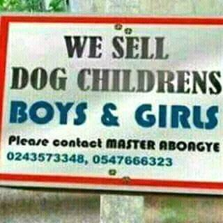 We sell dogs, childrens.jpg