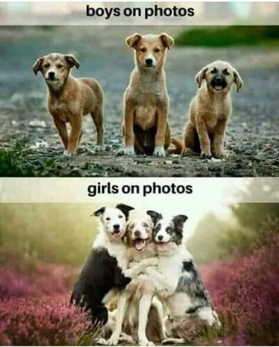 Boys & Girls in photos.jpg