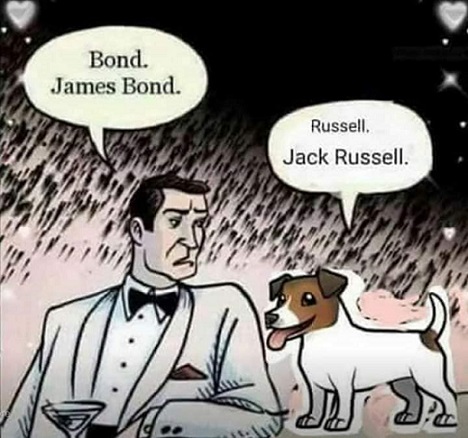 James Bond & Jack Russell.jpg