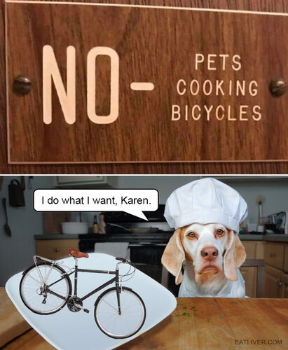 bicycles.jpg