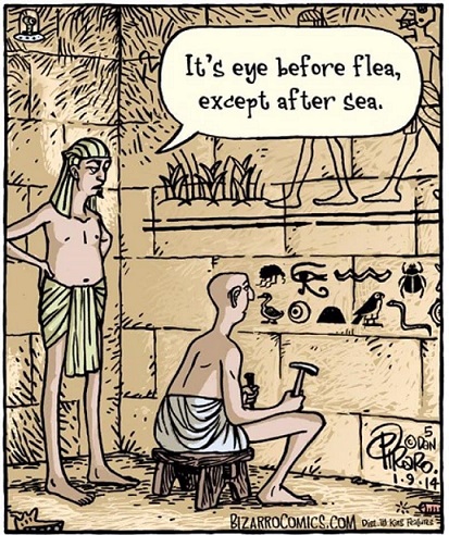 Eye before flea.jpg