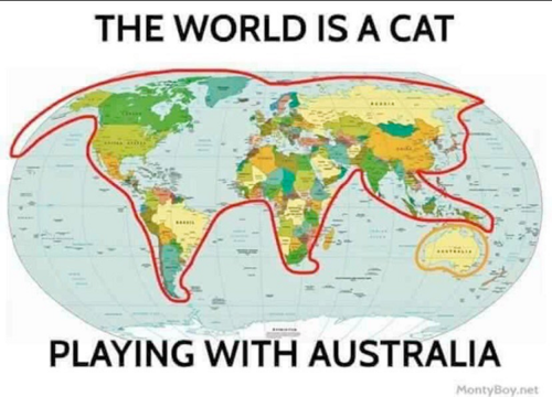 Cat playing with Australia.png