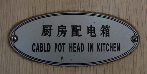 Cabld pothead in kitchen.jpg