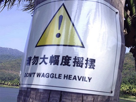 Don't waggle heavily.jpg