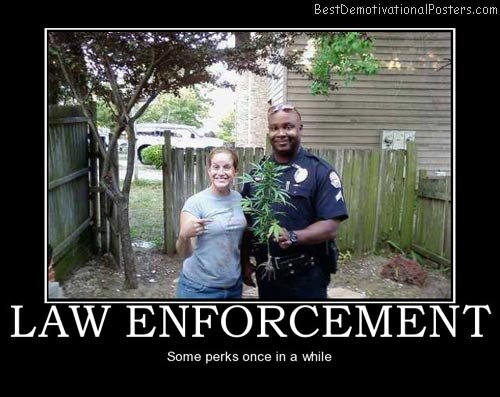 law-enforcement-weed-cop-best-demotivational-posters.jpg