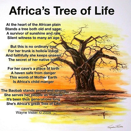 Africa's Tree of Life.jpg