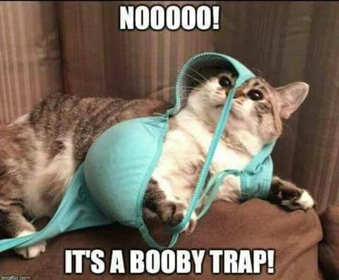 Booby trap.jpg