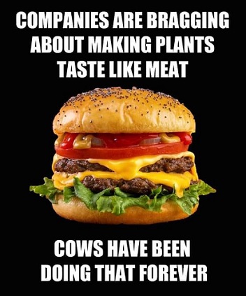 Hamburgers_plants taste like meat.jpg