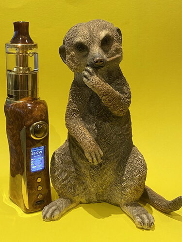 Vape and Animals 1.jpg