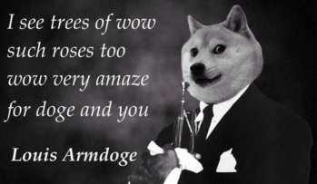 doge-meme-196737_w1000.jpg