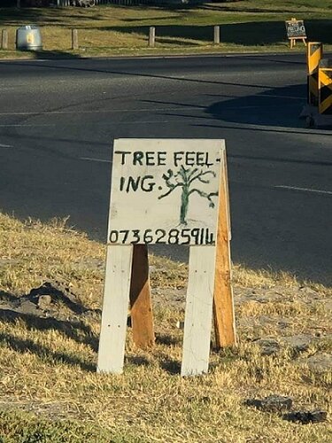 Tree Feeling_Kirstenhof.jpg