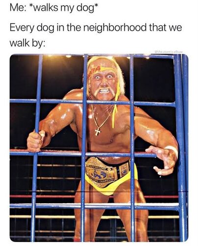 hulk hogan.jpg