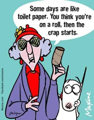 Toilet Paper.jpg