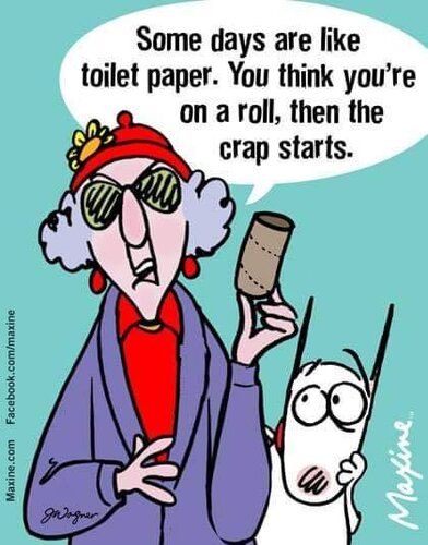 Toilet Paper.jpg