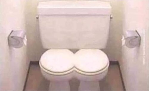 Dual toilet.jpg