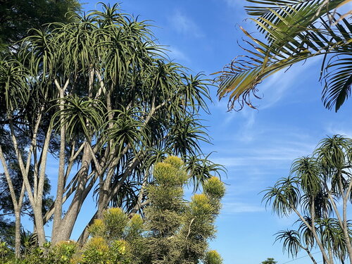 Durbs Good Monring.JPG