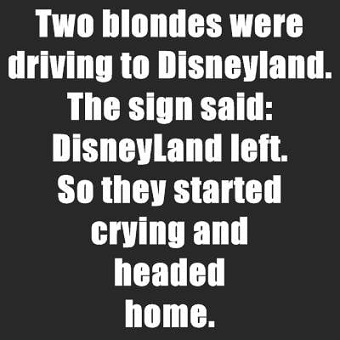 Disneyland left.jpg
