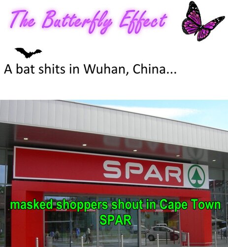 Butterfly effect.jpg