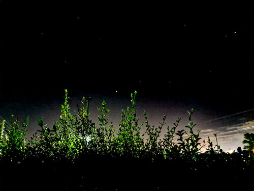 dsc2020022501.jpg