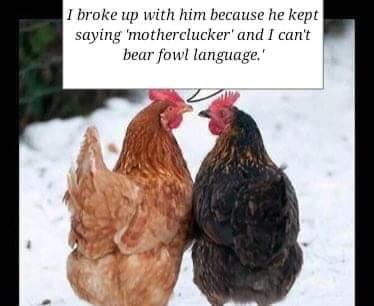 Fowl language.jpg