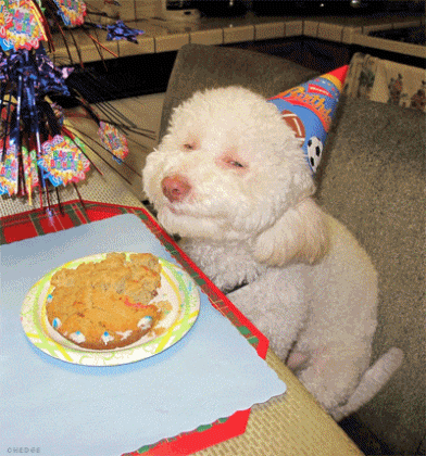funny-dog-smile-birthday.gif