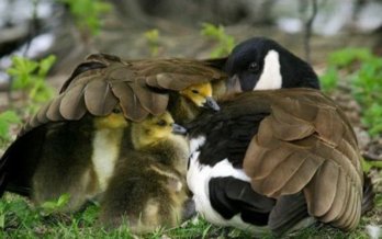 GroupHug3.jpg
