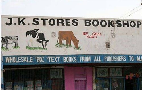 Bookshop sells cows.JPG