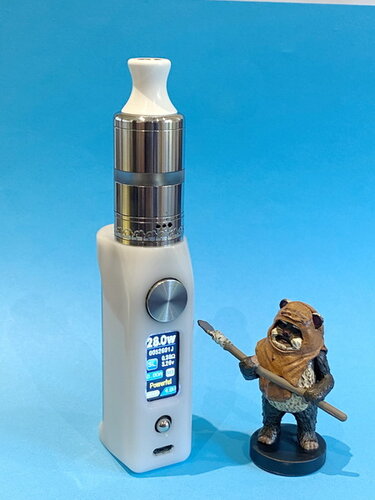 Ewok and Haar.JPG