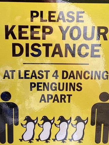 Penguins.jpg