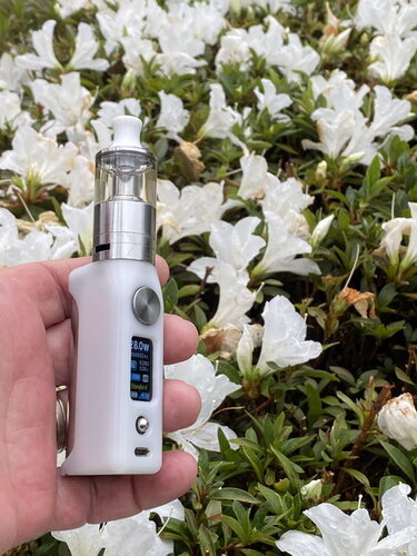 Walk and Vape 06.jpg