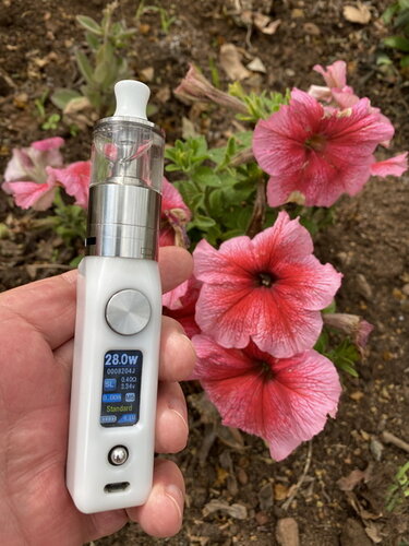 Vape Walk 03.jpg