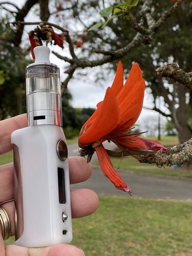 Vape Walk 25.jpg