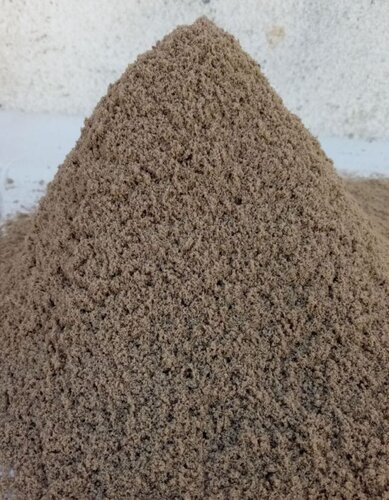 dampish sand.jpg
