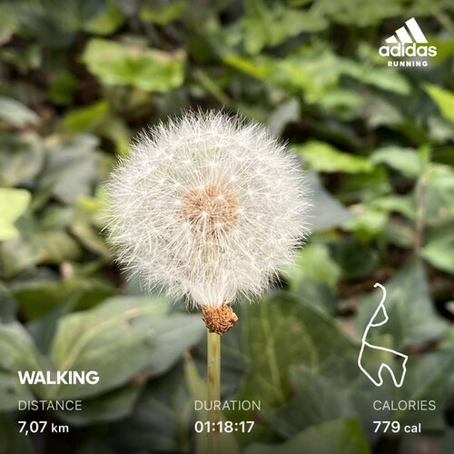 Walk 20201221 10.jpg