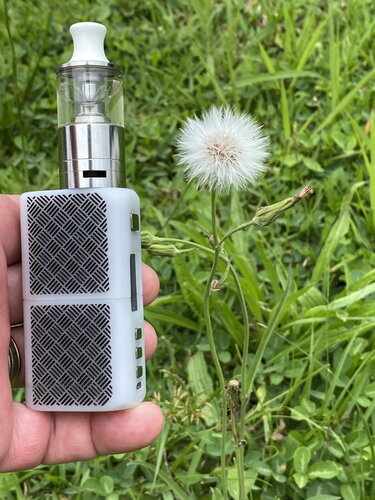 Walk Vape 20201230 06.jpg