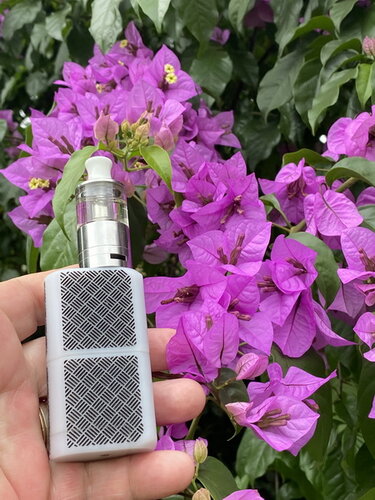 Walk Vape 20201230 09.jpg