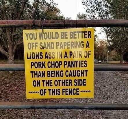 You would be better off.jpg