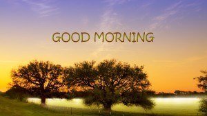 Good morning 300 wide.jpg Good morning 300 wide.jpg