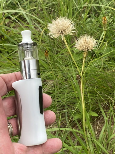 Walk 210124 Vape 6.jpg