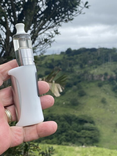 Walk 210124 Vape 7.jpg