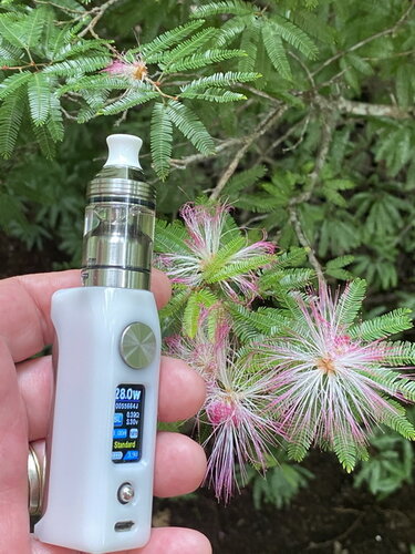 Walk Vape 210204 2.jpg