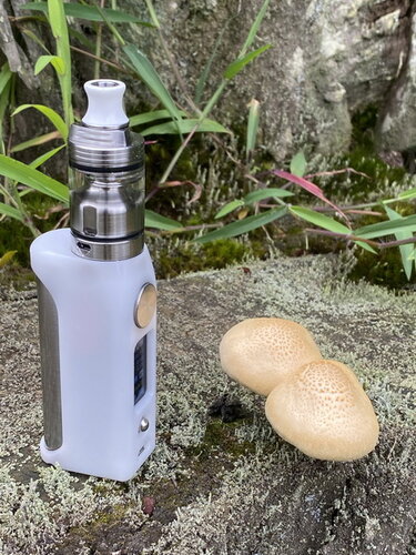 Walk Vape 210204 4.jpg