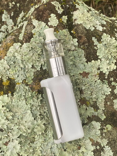 Walk Vape 210215 4.jpg