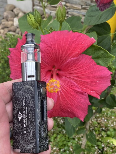 Walk Vape 210322 05.jpg