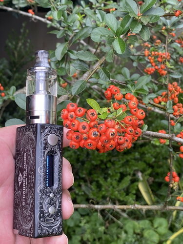 Walk Vape 210322 08.jpg